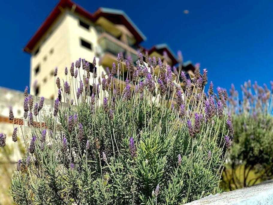 Lindo Apartamento Na Montanha! Águas de Lindoia Exterior foto